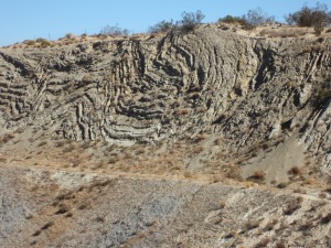 Folding of the San Andreas Fault